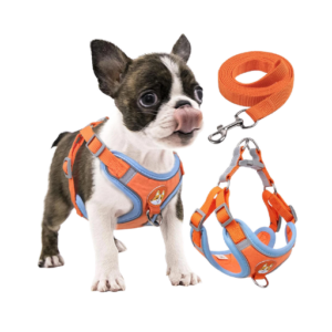 Coleira Peitoral coleira para cachorro com guia para pet pequenos e médios colete confortável