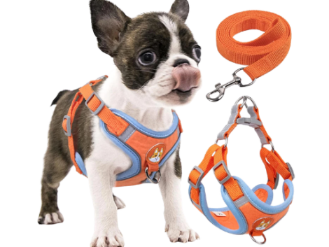 Coleira Peitoral coleira para cachorro com guia para pet pequenos e médios colete confortável